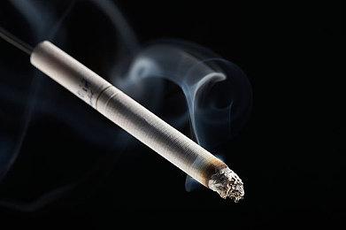 阑尾炎也要众筹？《Cozy Grove》台词翻译时被迫修改